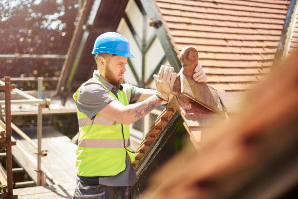 Best Roof Gutter Cleaning  in South Paris, ME